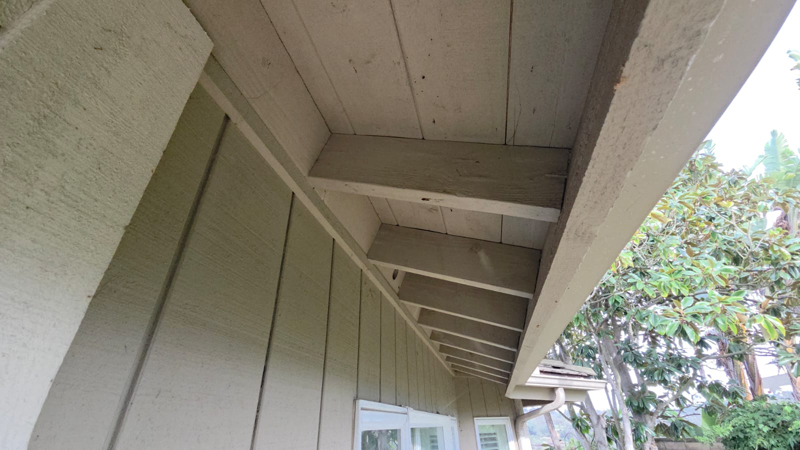 Mold Remediation project San Diego