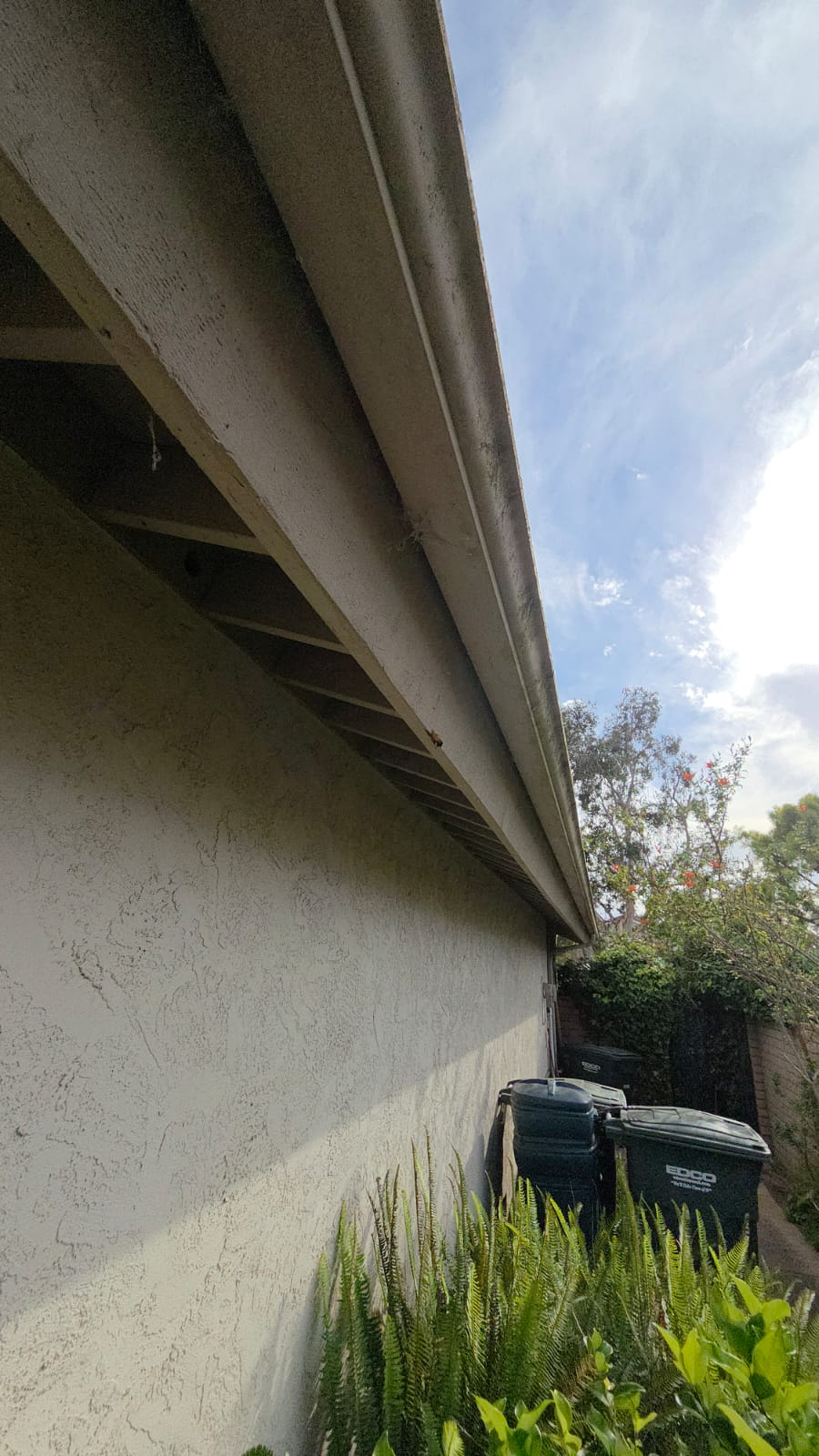 Bradley Painting Plus Jamul
