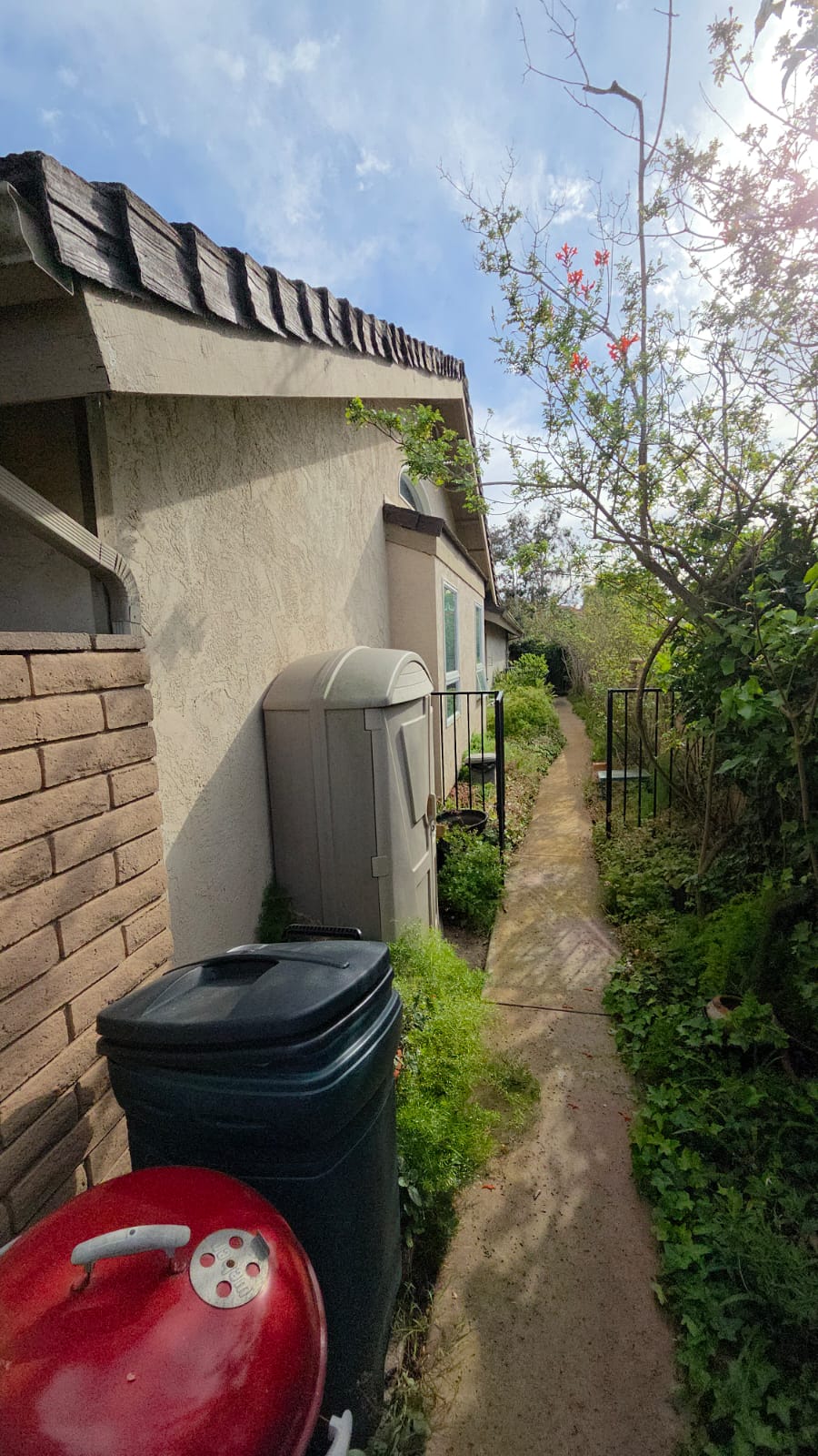 Local painting project San Diego