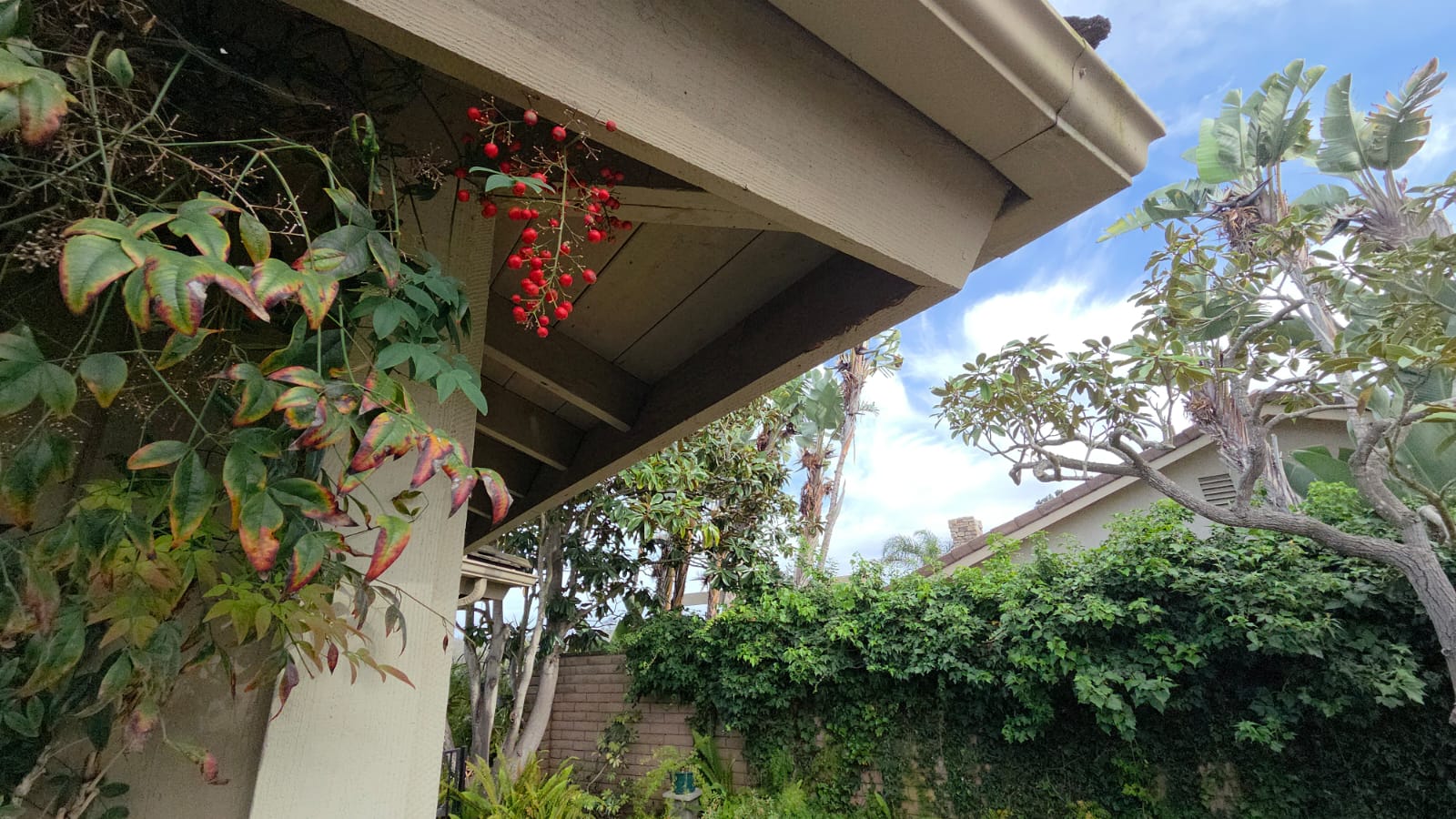 Bradley Painting Plus Rancho Santa Fe